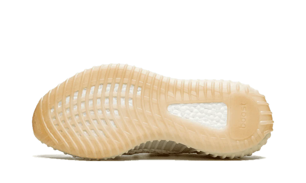 Yeezy Boost 350 V2 Light - Image 5